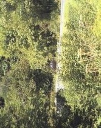 Enlarge image Cover: In Almost Every Picture #2 - Artimo Foundation Breda