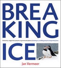 Abbildung von: Breaking Ice - Thieme Art