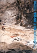 Cover: Context \ Specificity - NAI Publishers