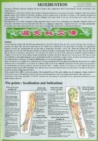 Abbildung von: Moxibustion -- Laminated Folded A4 - Jan Van Baarle