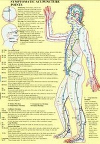 Abbildung von: Symptomatic Acupuncture Points -- A4 - Jan Van Baarle