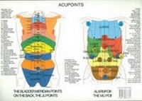 Abbildung von: Acupoints - Jan Van Baarle