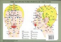 Abbildung von: Acupuncture Points of the Face -- A4 - Jan Van Baarle