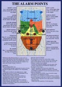 Abbildung von: Alarm Points / Emergency Points -- A4 - Jan Van Baarle