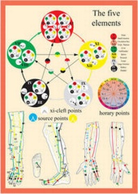 Abbildung von: Five Elements in Acupuncture -- A4 - Jan Van Baarle