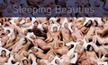 Cover: Sleeping Beauties - Stichting Kunstboek BVBA