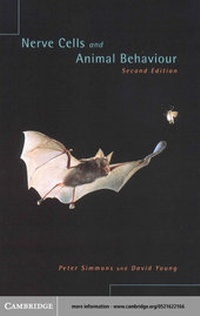 Abbildung von: Nerve Cells and Animal Behaviour - Cambridge University Press