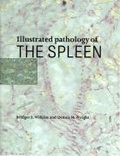 Cover: Illustrated Pathology of the Spleen - Cambridge University Press
