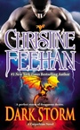 Cover: Dark Storm - Berkley Publishing Corporation,U.S.