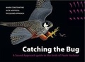 Cover: Catching the Bug - The Sound Approach