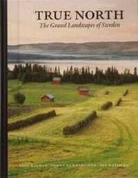 Abbildung von: True North - Bokforlaget Max Strom