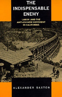 Enlarge image Cover: The Indispensable Enemy - University of California Press