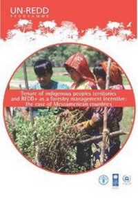Abbildung von: Tenure in indigenous territories and REDD+ as a forestry management incentive - Food & Agriculture Organization of the United Nations (FAO)