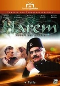 Cover: Harem: Rebell der W&uuml;ste (Fernsehjuwelen) - AL!VE Ag