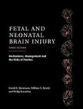 Cover: Fetal and Neonatal Brain Injury - Cambridge University Press