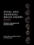 Cover: Fetal and Neonatal Brain Injury - Cambridge University Press