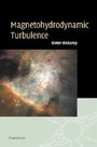Cover: Magnetohydrodynamic Turbulence - Cambridge University Press