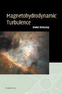 Abbildung von: Magnetohydrodynamic Turbulence - Cambridge University Press