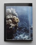Cover: Parties de Voyant - MER Paper Kunsthalle
