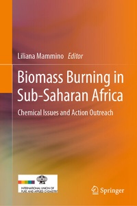Abbildung von: Biomass Burning in Sub-Saharan Africa - Springer