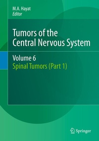 Abbildung von: Tumors of the Central Nervous System, Volume 6 - Springer