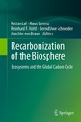 Cover: Recarbonization of the Biosphere - Springer