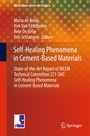 Cover: Self-Healing Phenomena in Cement-Based Materials - Springer