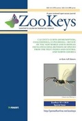 Cover: Calosota Curtis (hymenoptera, Chalcidoidea, Eupelmidae) - Review of the New World and European Fauna Including Revision of Species from the West Indies and Central and North America - Pensoft Publishers