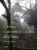 Cover: Cychrus, Calosoma Et Carabus De Chine - Pensoft Publishers