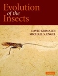 Cover: Evolution of the Insects - Cambridge University Press