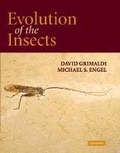 Cover: Evolution of the Insects - Cambridge University Press