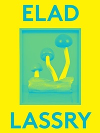 Enlarge image Cover: Elad Lassry - Kentro Synchronis