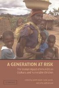 Enlarge image Cover: A Generation at Risk - Cambridge University Press