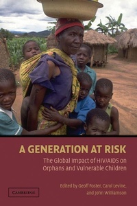 Enlarge image Cover: A Generation at Risk - Cambridge University Press