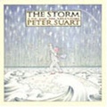 Cover: The Storm - MCCM Creations