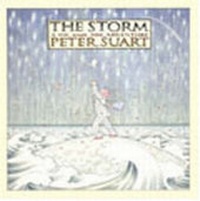 Enlarge image Cover: The Storm - MCCM Creations