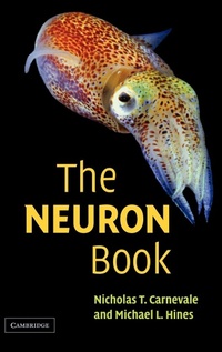 Abbildung von: The NEURON Book - Cambridge University Press