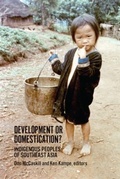 Abbildung von: Development or Domestication? - Firecracker Interactive