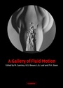 Cover: A Gallery of Fluid Motion - Cambridge University Press