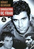 Cover: Daragacinda &Uuml;c Fidan - Everest Yayinlari