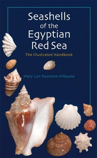 Abbildung von: Seashells of the Egyptian Red Sea - The American University in Cairo Press