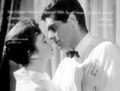 Cover: The Golden Years of Egyptian Film - The American University in Cairo Press