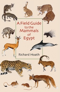 Abbildung von: A Field Guide to the Mammals of Egypt - The American University in Cairo Press