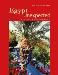 Abbildung von: Egypt Unexpected - The American University in Cairo Press