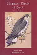 Cover: Common Birds of Egypt - The American University in Cairo Press
