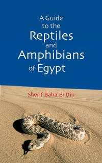 Abbildung von: A Guide to Reptiles and Amphibians of Egypt - The American University in Cairo Press
