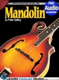 Cover: Mandolin Lessons for Beginners - LearnToPlayMusic.com