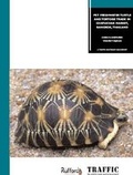 Cover: Pet Freshwater Turtle and Tortoise Trade in Chatuchak Market, Bangkok, Thailand - Traffic Southeast Asia