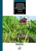 Cover: Conservation Status and Impact of Trade on the Oriental Rat Snake 'Ptyas Mucosa' in Java, Indonesia - Traffic Southeast Asia