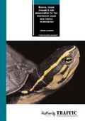 Cover: Status, Trade Dynamics and Management of the Southeast Asian Box Turtle in Indonesia - Traffic Southeast Asia